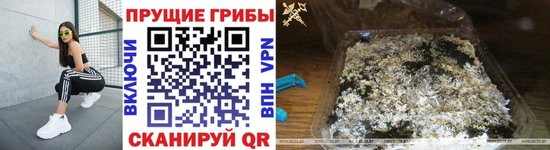 дарнет шоп Нестеров Галлюциногенные грибы MAGIC MUSHROOMS